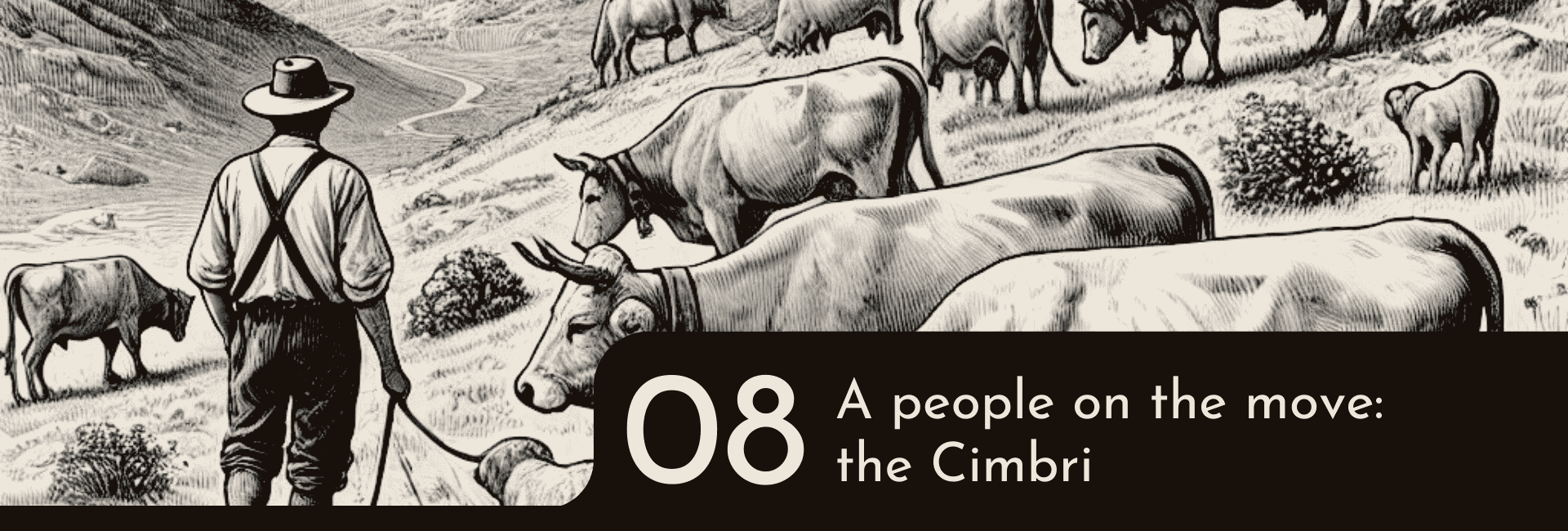 la nostra storia altrove radici 8 EN A people on the move: the Cimbri